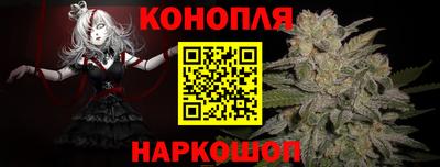 прущие крисы Кимры