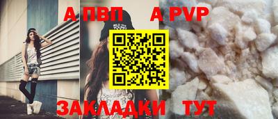 дживик Кингисепп