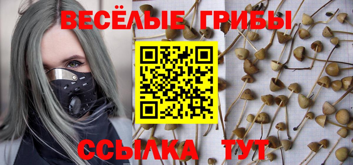 Галлюциногенные грибы Magic Shrooms  закладки  Вход с VPN  Арсеньев  Галлюциногенные грибы мухоморы 