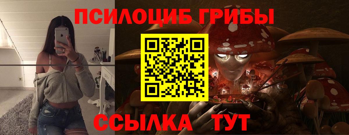 Галлюциногенные грибы мицелий Арсеньев
